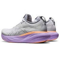 Кросівки для бігу жіночі Asics GEL-NIMBUS 25 Piedmont grey/Pure silver